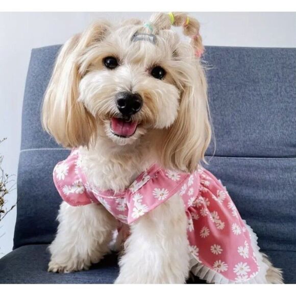 Daisy Breathable Pink Dog Cat Small Pet Dress‎ NWOT - Picture 3 of 4